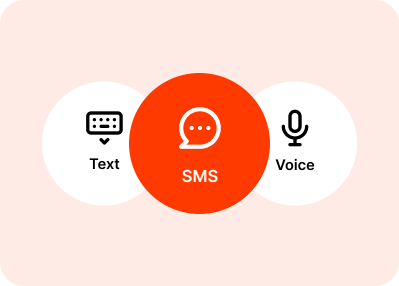 Add transactions via SMS, text, voice, or manual entry